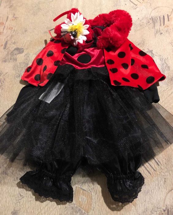 Карнавальний костюм Божа корівка, бедрик, сонечко