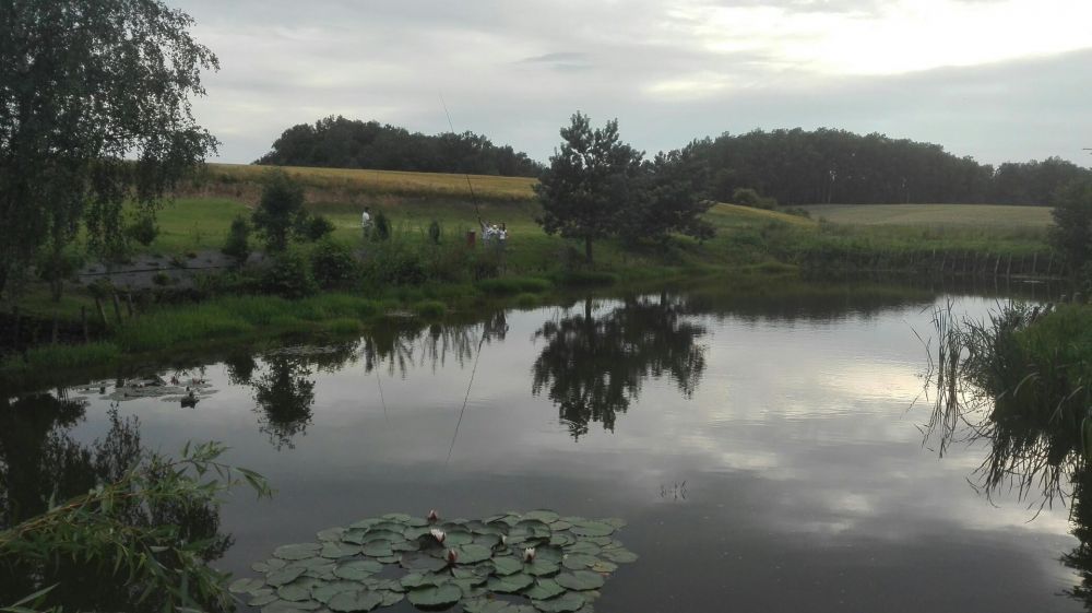 Pokoje gościnne Agroturystyka U Emili najbliżej Kurza Góra Kurzętnik