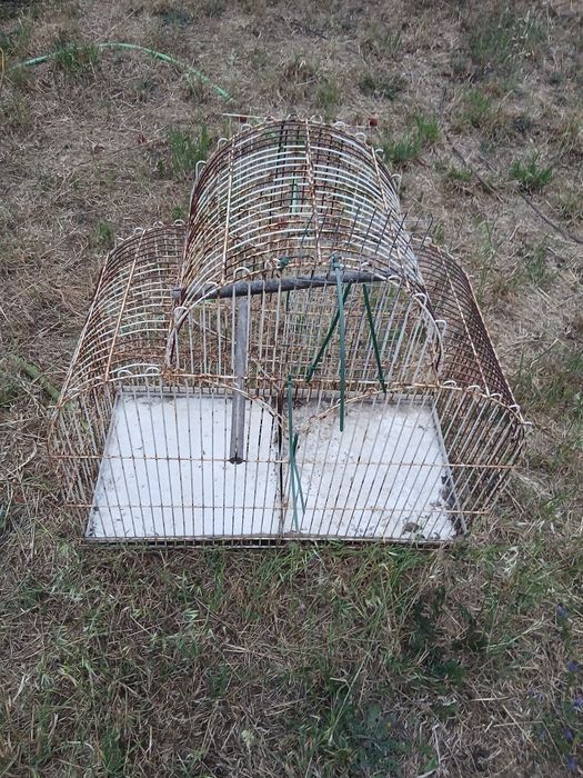 Gaiola para passaros