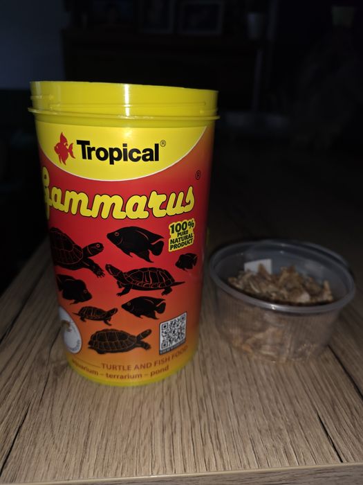 Pokarm dla żółwia lub kraba