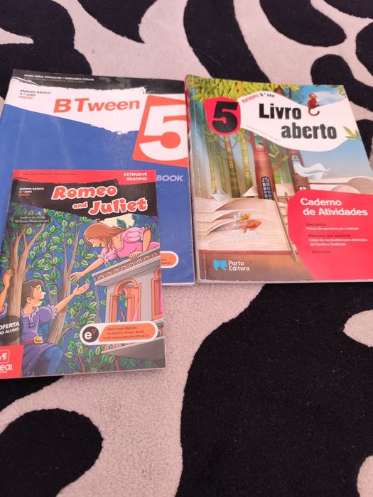 Livros de fichas de 5o ano