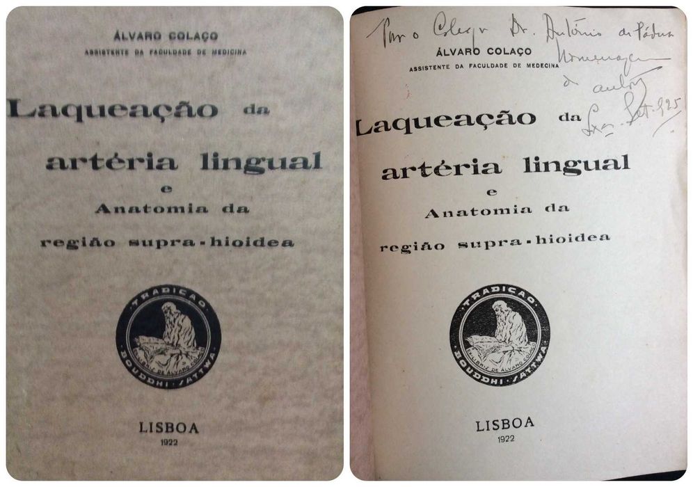 Livros com dedicatórias manuscritas pelos seus autores. Lote 2