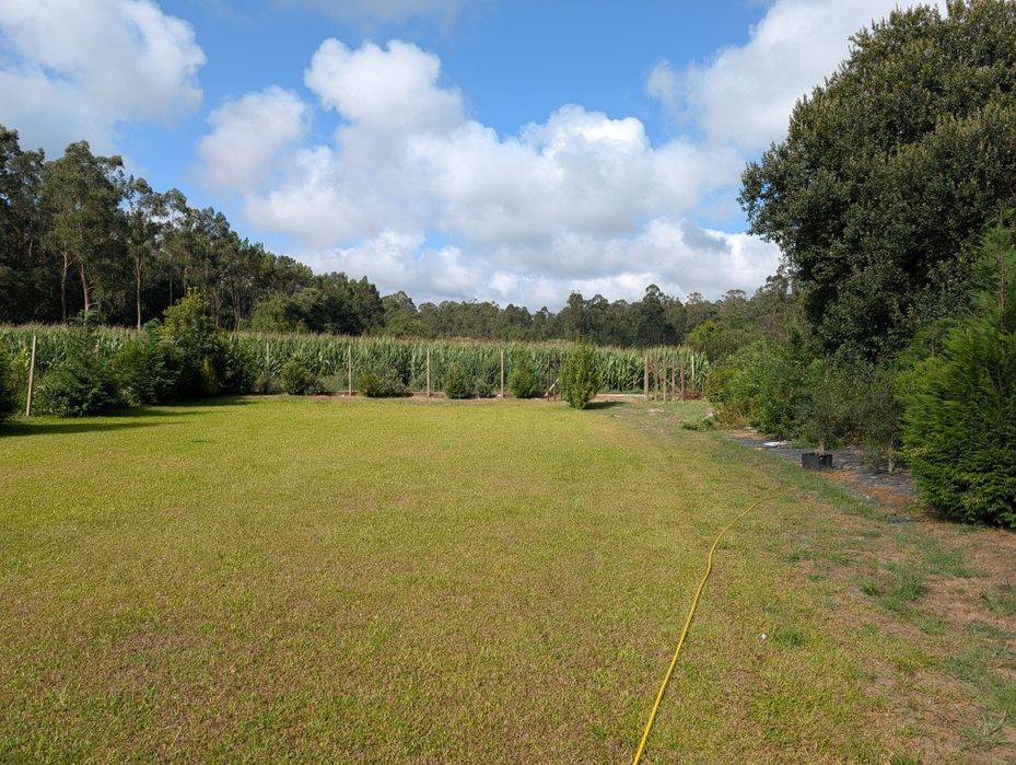 Terreno em Gemeses com 1000m2