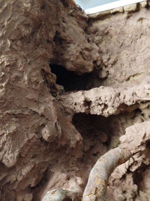 Terrarium dla gekonów