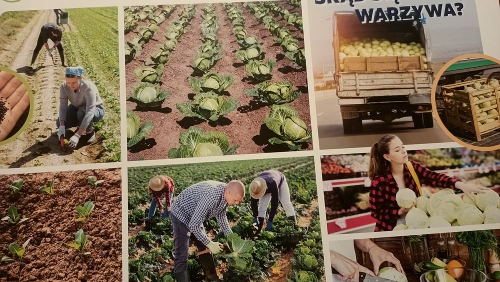 Zestaw plansz dydaktycznych dla 3-4 Latków Nową era