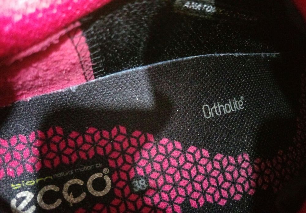 Ecco Performance Biom Terrain Gore-Tex жіночі спортивні кросівки
