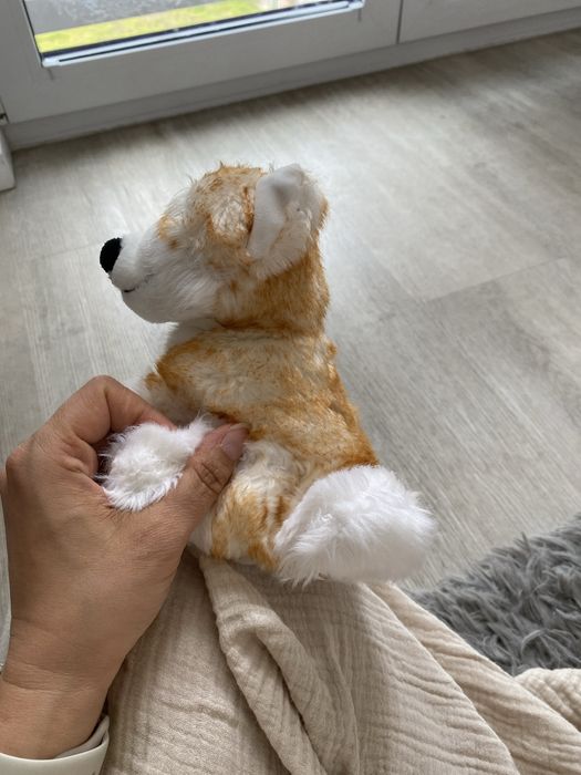 Pieski przytulanki 18 cm