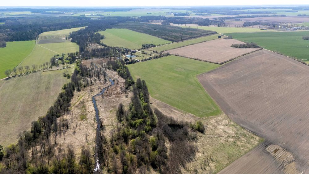 Działka 3000 m² z MPZP | Siedlisko | Możliwość budowy domu z poddaszem | Gołębiewo - View 4