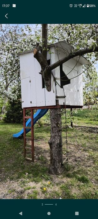 Domek na drzewie