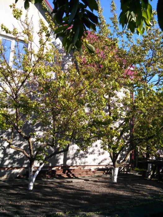 Продажа дома в Новомосковске рядом с рекой.11.01.26.