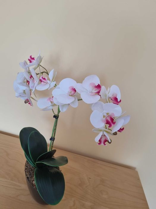 Stoczyk sztuczny w doniczce