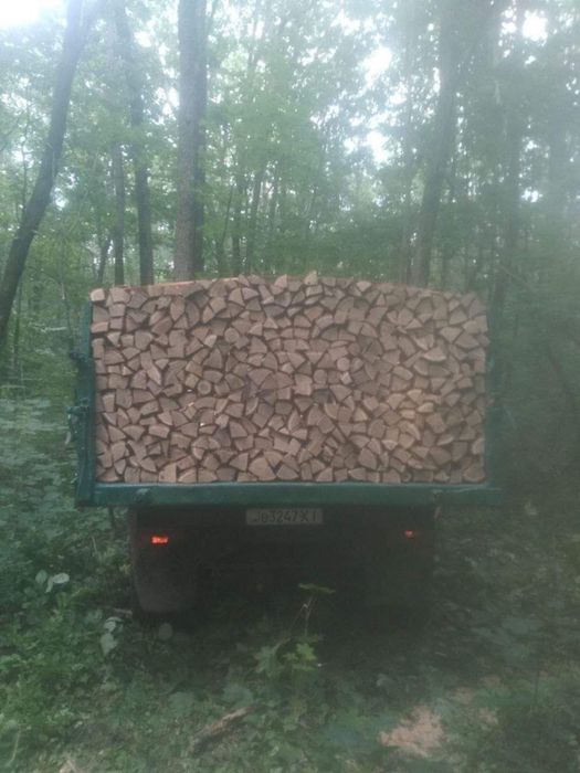 Продам дрова з Лісництва дуб,граб,береза,вільха