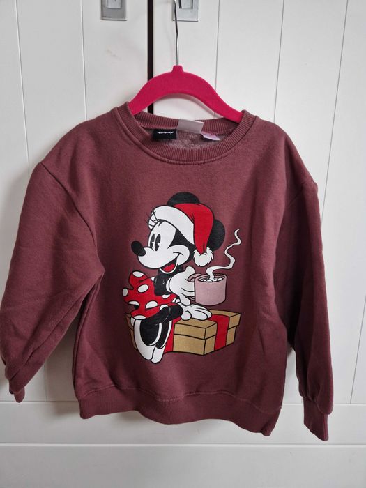 Bluza Zara r.116 minnie