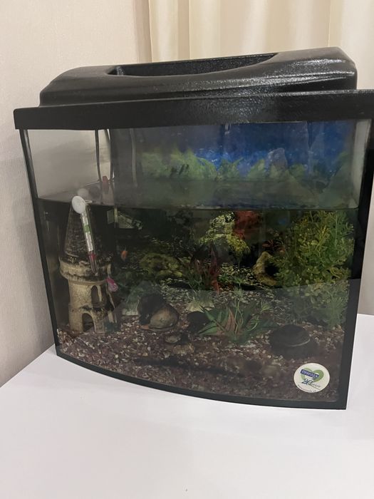 Акваріум для рибок
