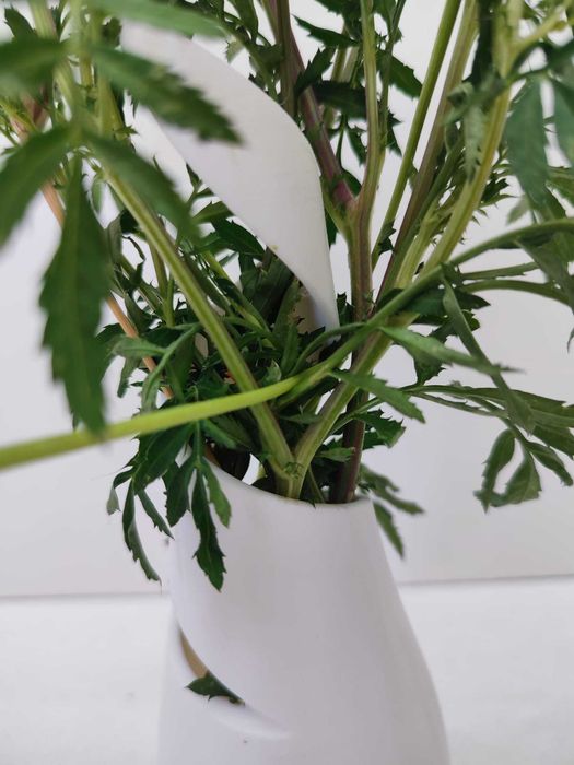 Vaso Branco em Espiral para Flores