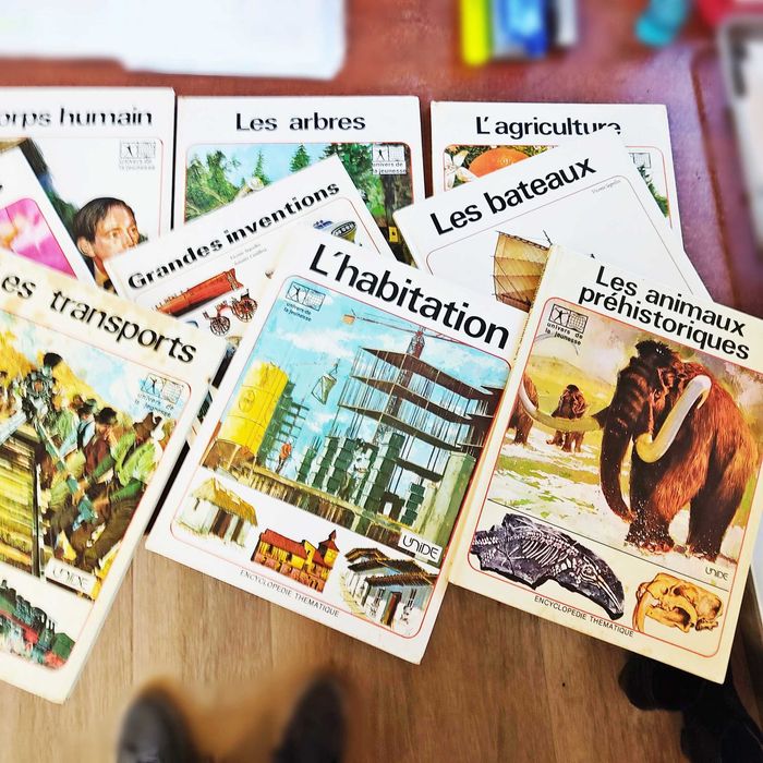 Enciclopédia Temática Francesa “Encyclopédie Thématique”