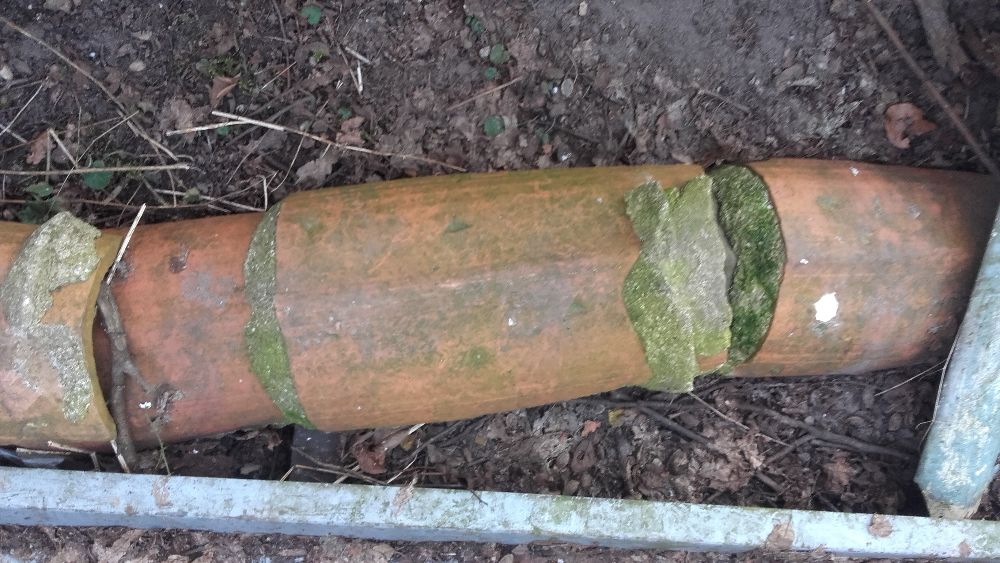 Gasior Gosiory do Dachowki Karpiowki Betonowej