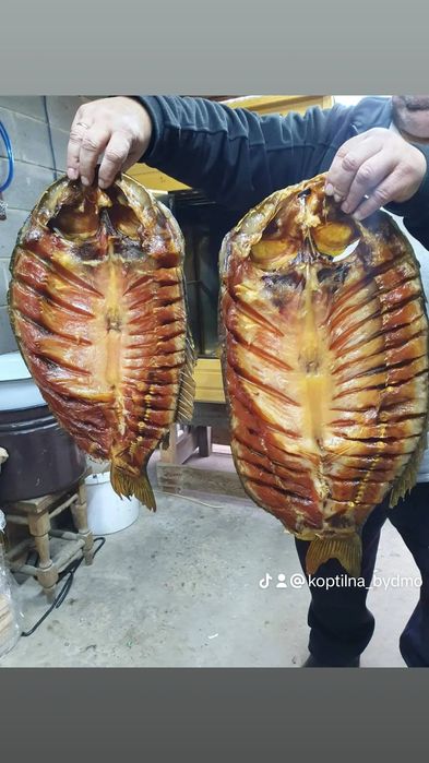 Коптильня гарячого та холодного копчення