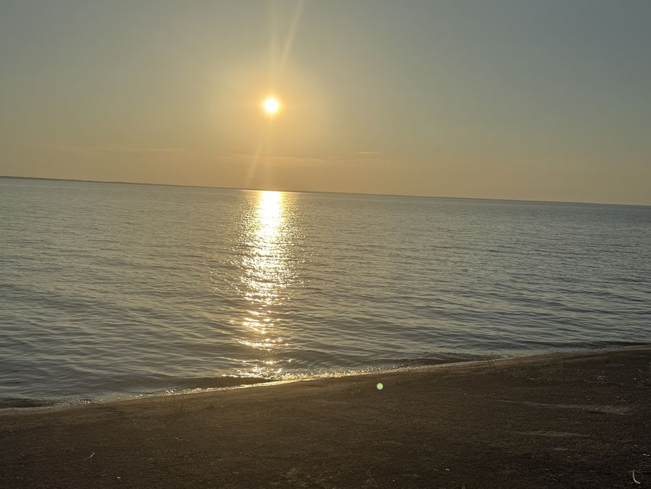 10 сот біля рибного каналу 250м поряд ліс та київське море терміново