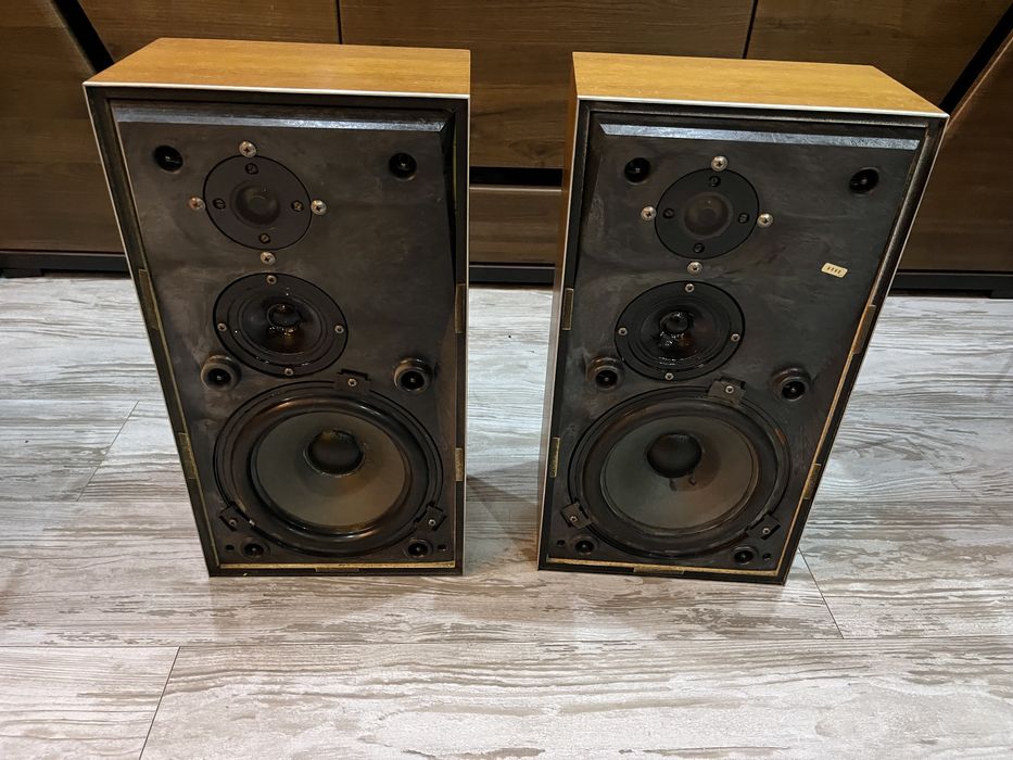 Bang olufsen beovox S45