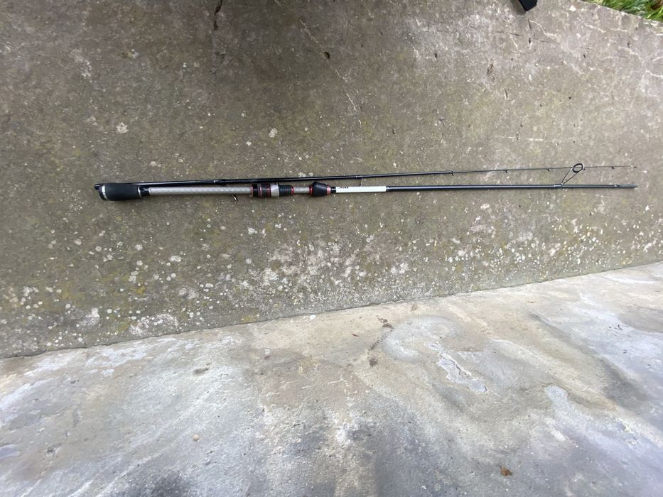 Daiwa silver creek
