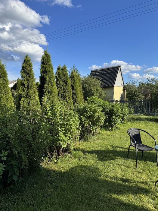 Działka ROD Staszów Radzików - View 2