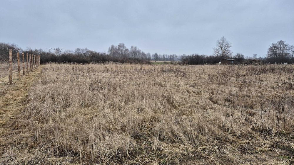 Działka gruntowa - Widok 2