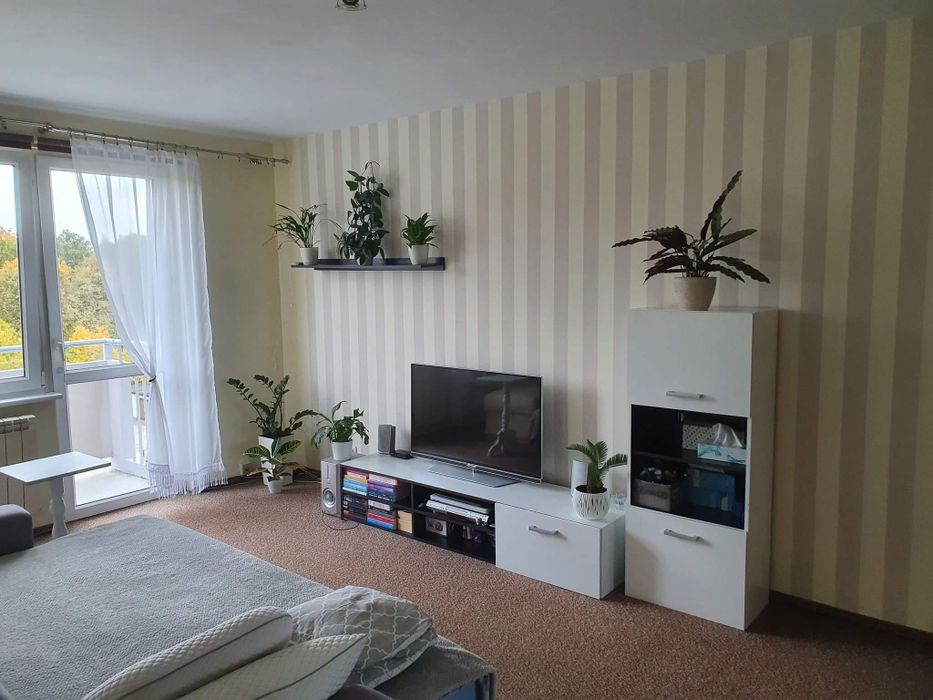 Mieszkanie 38m2, Orzeszkowej, Balkon