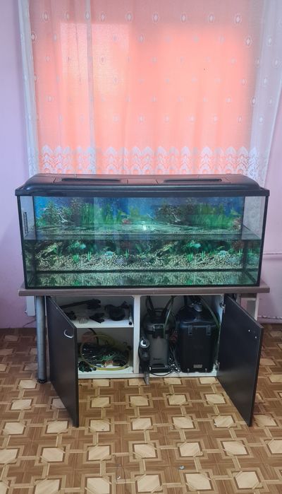 Akwarium Diversa 450L Stan bardzo dobry 2 Filtry Szafka Komplet