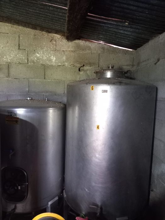 Cubas em inox+ esmagadores de uvas + prensas