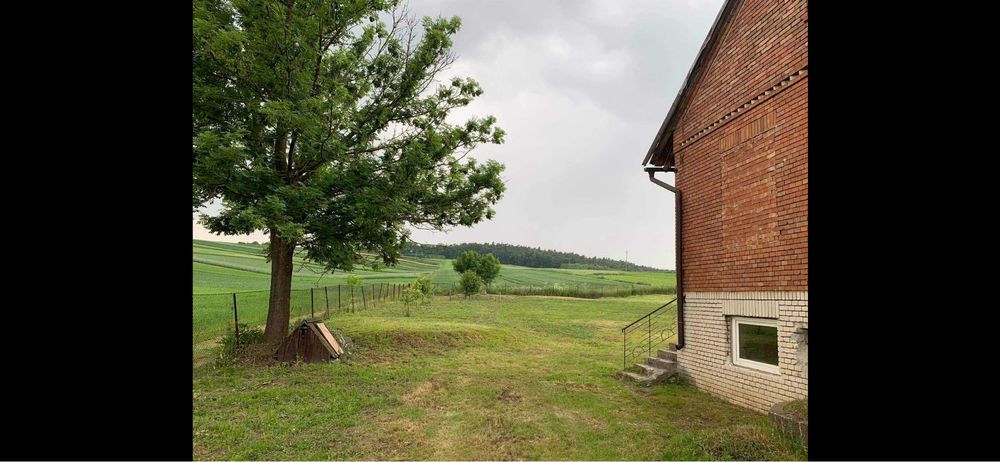 Dom z widokiem na las