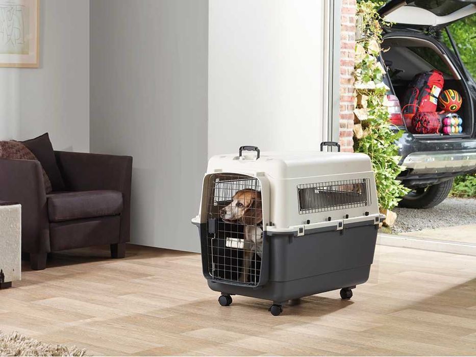 NOVAS - Caixa Transportadora GP TRAVEL IATA (Avião, Barco, Bus)