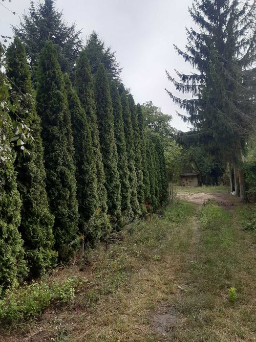 Działka budowlana Łuków - Widok 3