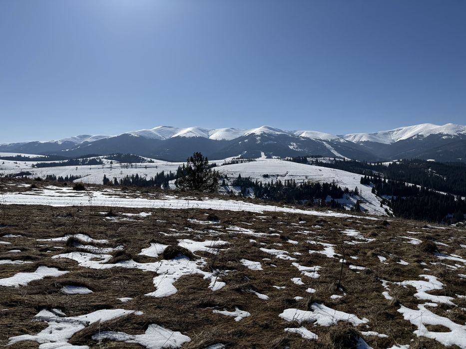 Продається ділянка осг в с. Пилипець