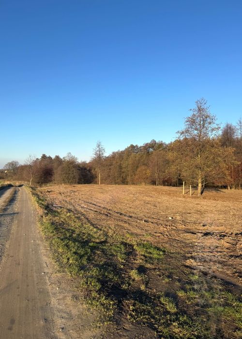 Działki siedliskowe i rolne Malczów