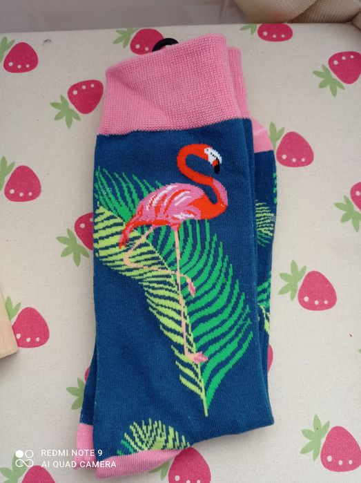 Meias Flamingos | Novo
