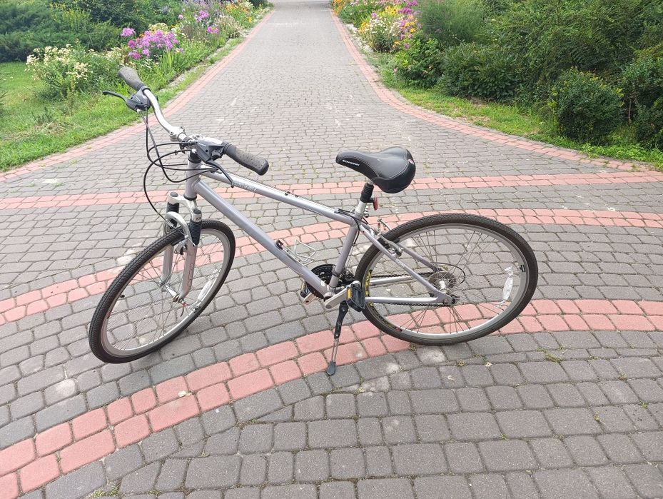 Rower Crossowy Schwinn Railway