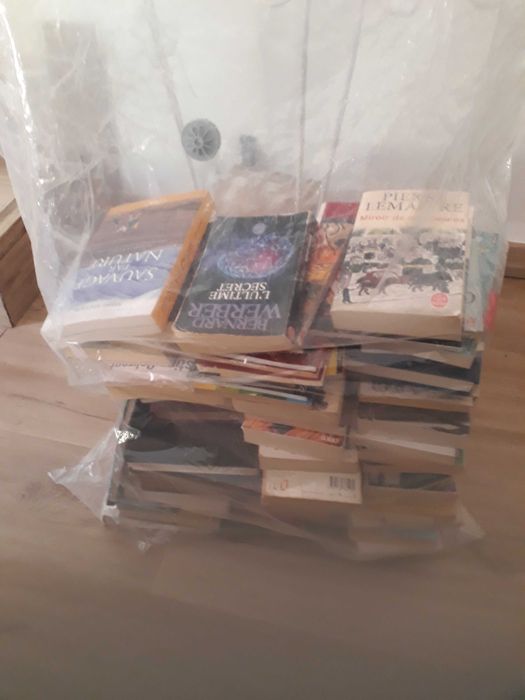 Lot de livres français