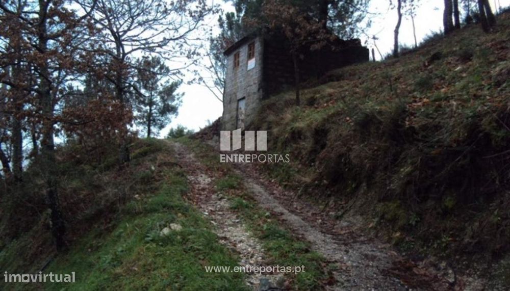 Venda Terreno, Campelo, Baião