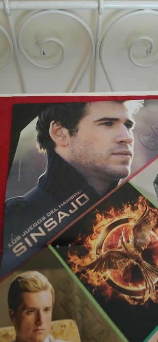 Poster Sinsajo - Katniss e Gale