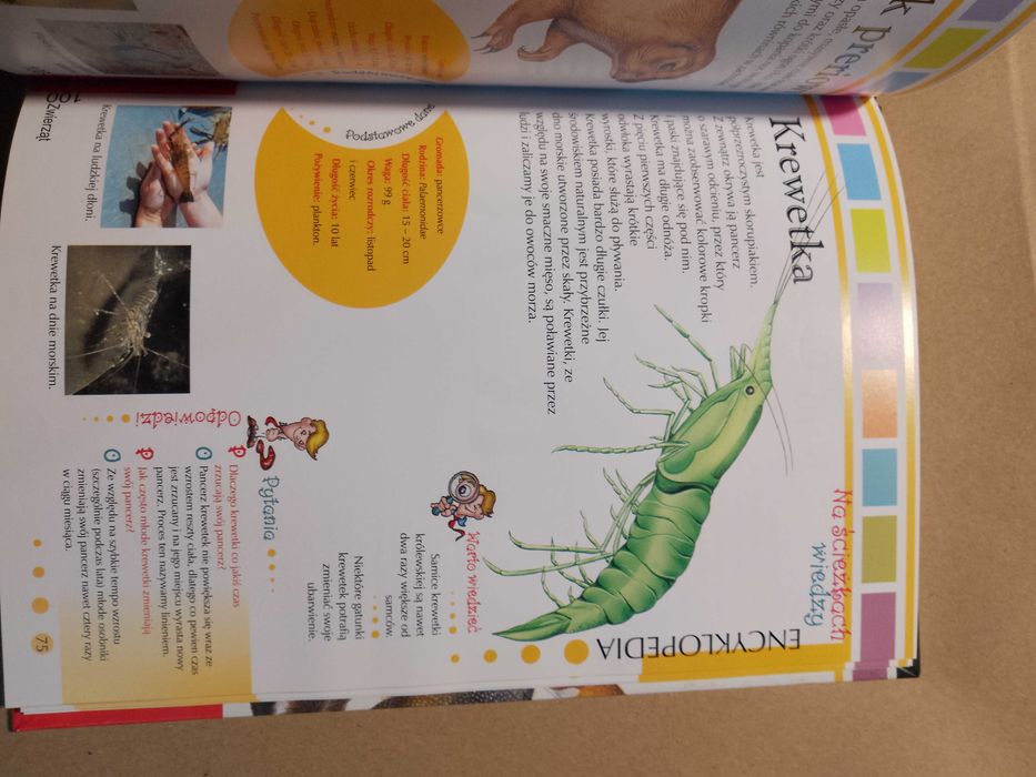 Na ścieżkach wiedzy. Tom 1. 100 zwierząt Praca zbiorowa