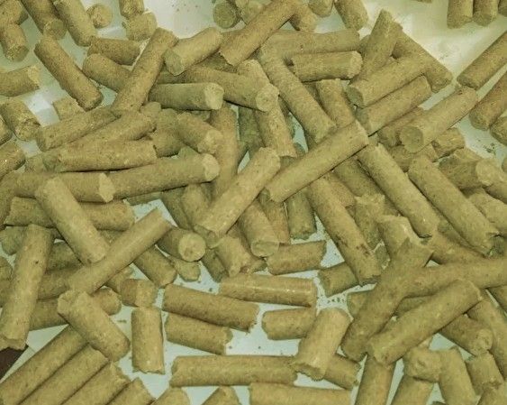 Дрожжи кормовые высокопротеиновые