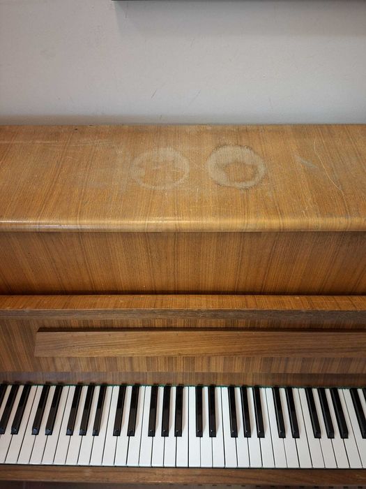 Pianino Calisia, Bydgoszcz