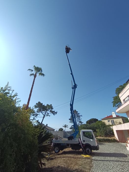 Aluguer de grua com cesto