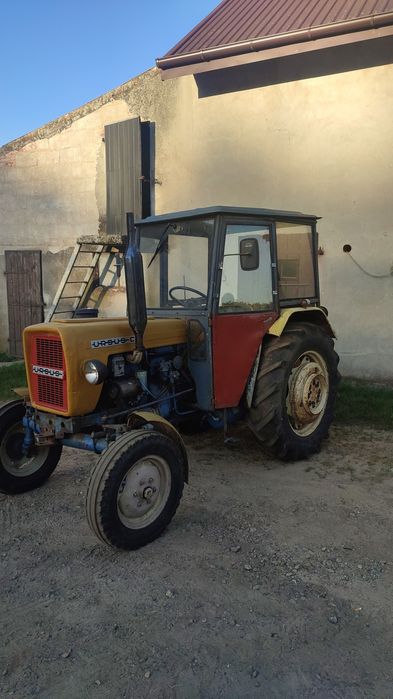 Ursus ursus c-330