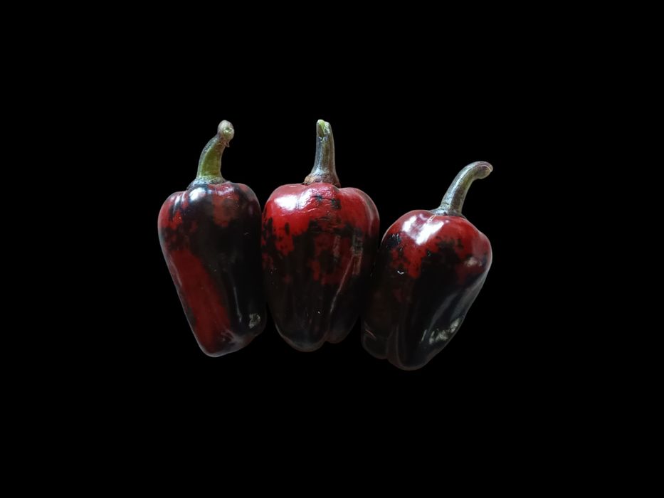 Vendo sementes de malaguetas raras muitas variedades