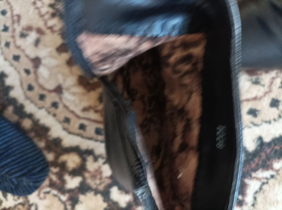 Женские сапоги на осень и зиму