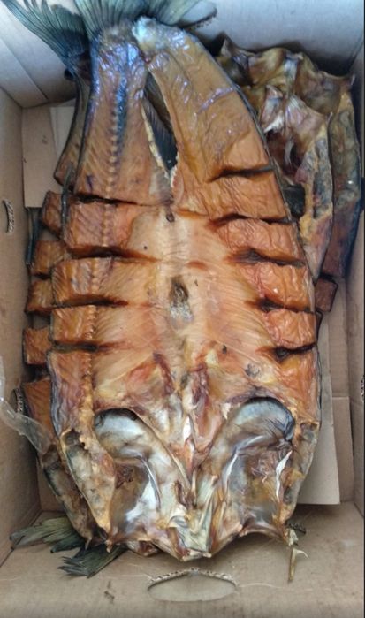 В'ялена таранька,густиря,лещ,судак,бичок