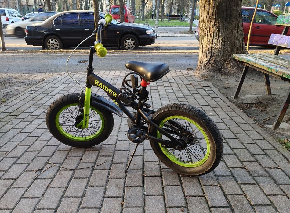 Дитячий велосипед Raider SJ16