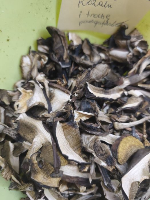 Grzyby suszone kozaki i podgrzybki 160 g